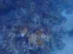 resIMG_20180715_151130_P7150881.JPG